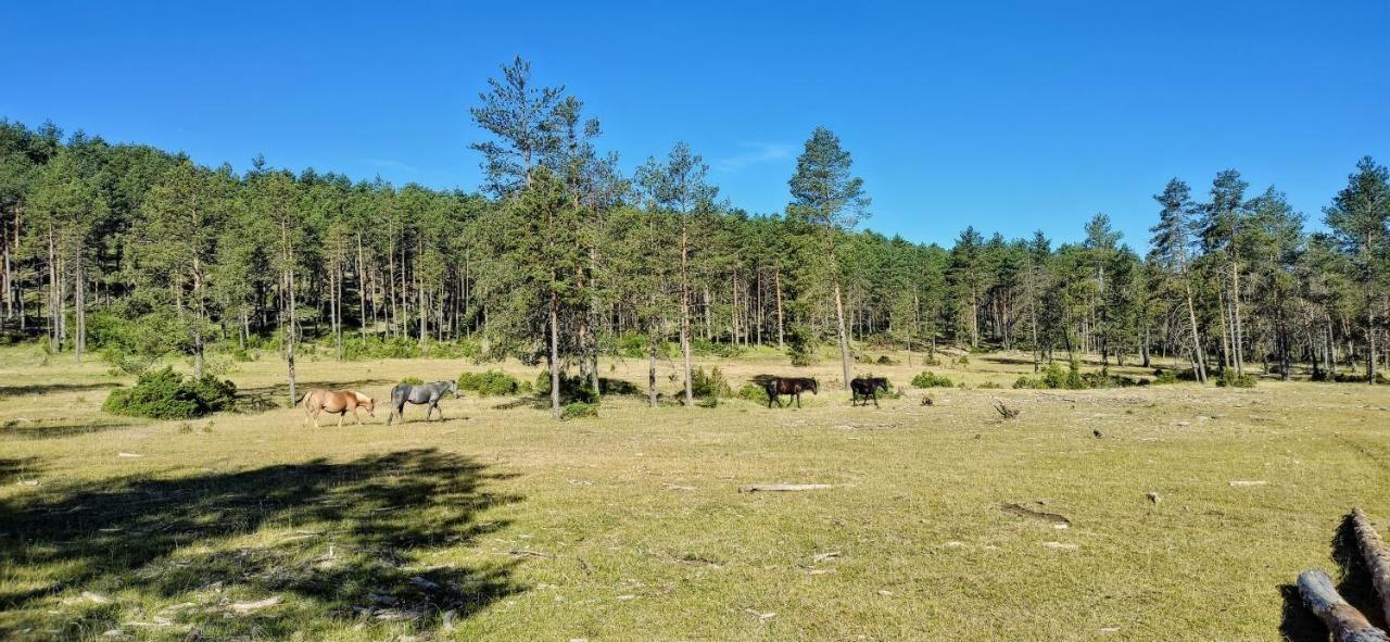 Alojamiento Rural Los Hacheros Tragacete Luaran gambar