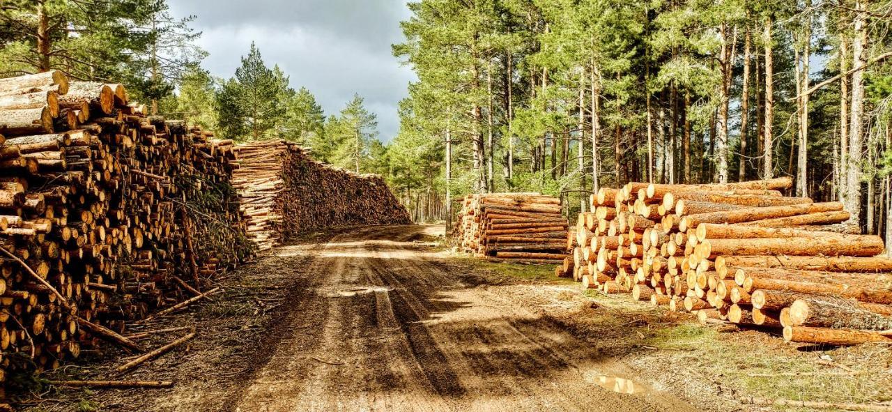 Alojamiento Rural Los Hacheros Tragacete Luaran gambar