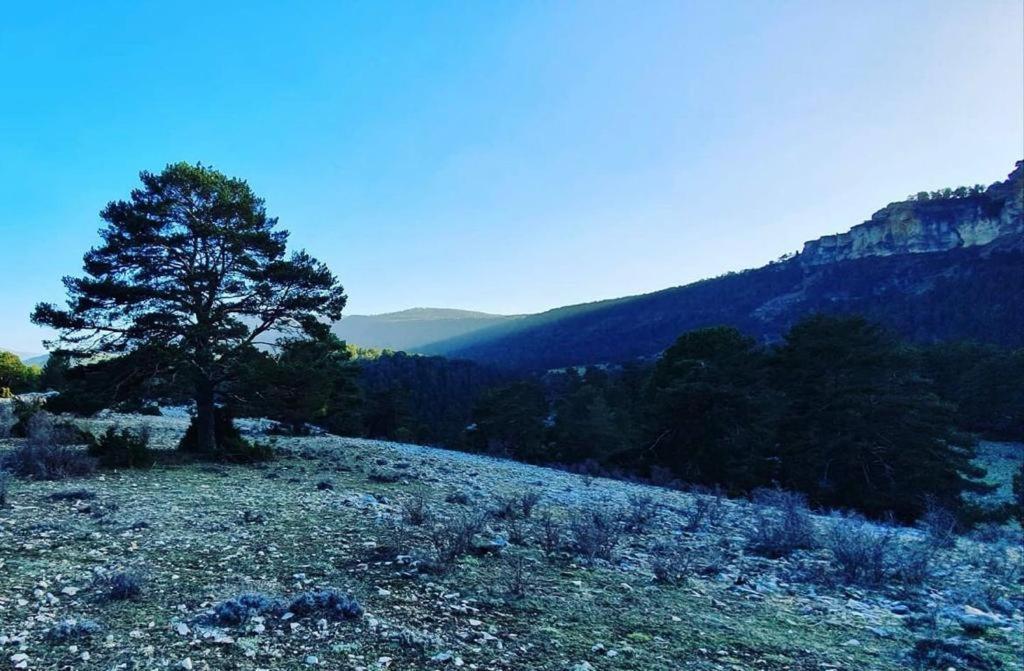 Alojamiento Rural Los Hacheros Tragacete Luaran gambar